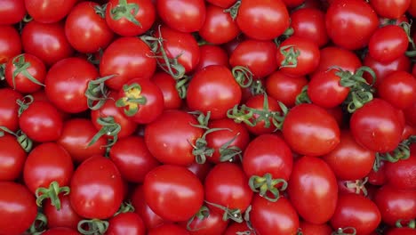 red cherry tomatoes