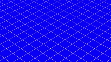 animation of static white line diamond grid on strong blue background