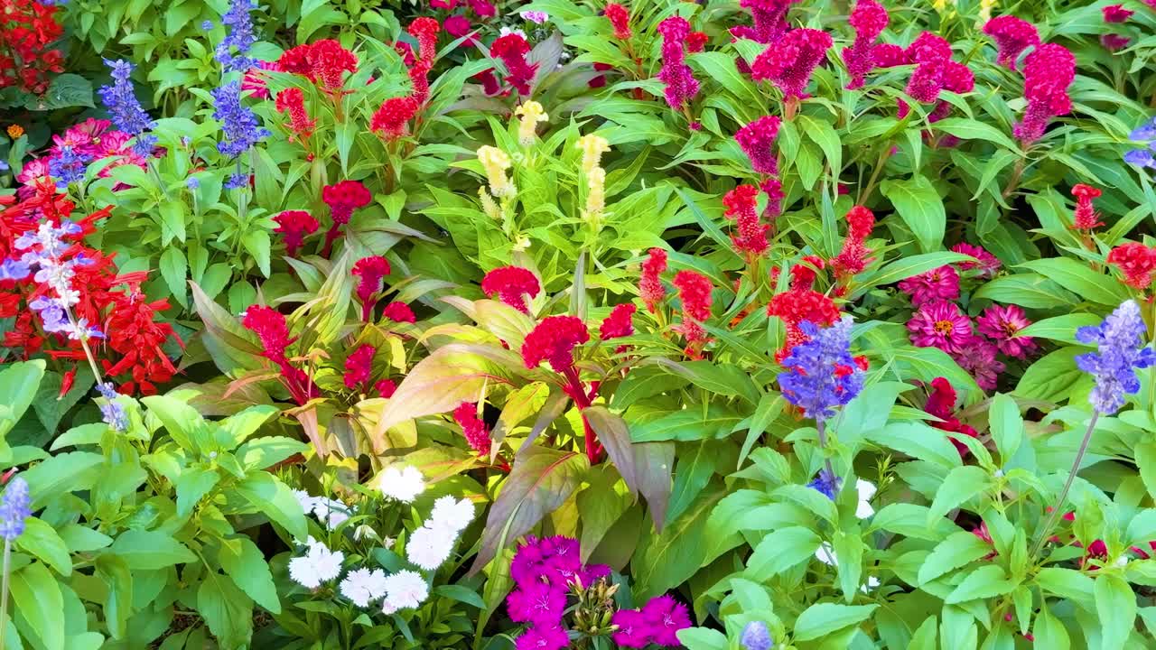 활기찬 꽃 정원