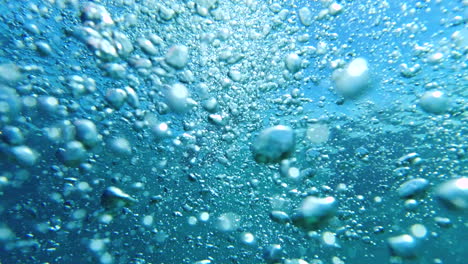 woman swimming in the ocean