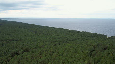 Weitläufiger-Blick-Auf-Einen-Dichten-Wald,-Der-Unter-Bewölktem-Himmel-Auf-Das-Meer-Trifft---Stegna,-Polen