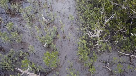 Dron-Que-Muestra-Desde-El-Primer-Plano-Del-Humedal-Hasta-Todo-El-Humedal,-La-Ciudad-Y-El-Mar