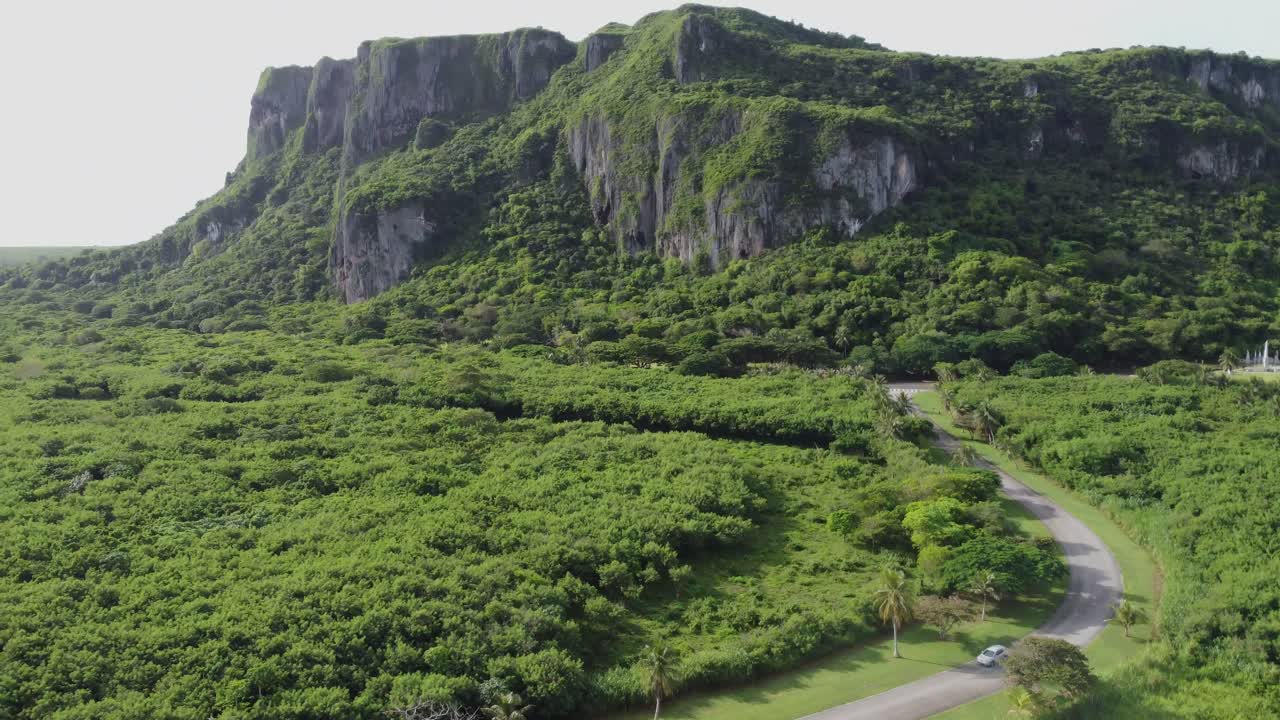 뒷면 에 높은 산 을 드러내는 동안 숲 도로 를 따라 운전 하는 차 의  을 꺼내