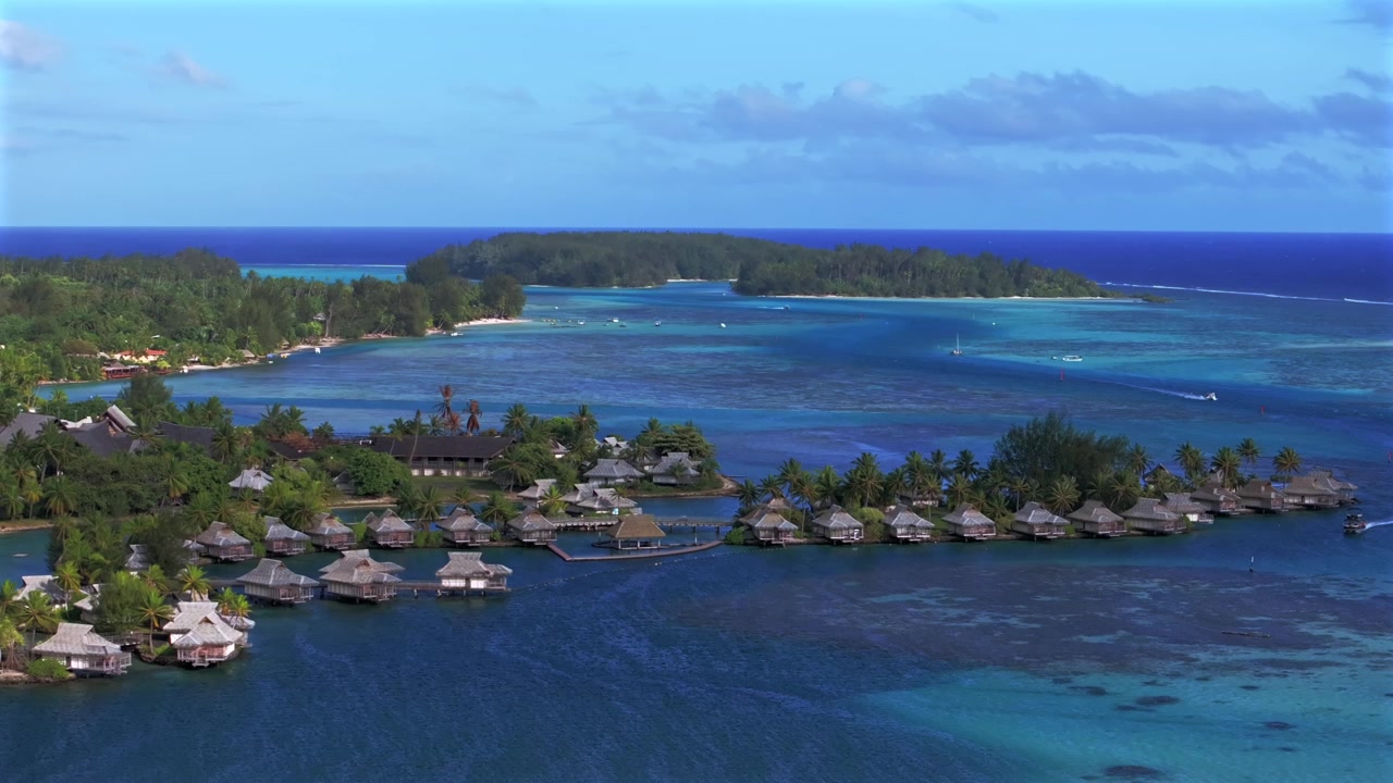 Bungalows ved Opunohu-bugten over koralrevshav, Cook's Bay-kanalen, Moorea, Fransk Polynesien, luftfoto fra drone, Tahiti, Bora Bora, Ta'ahiamanu Offentlige Strand, sejlbåde, både, eftermiddag, solrig blå himmel, baglæns opad