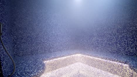 panning shot of a blue checkered steam room within a mansion