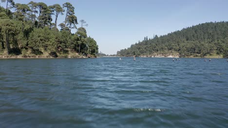 Flying-low-past-vertical-logs-in-forest-lake-and-rising-high,-Aerial