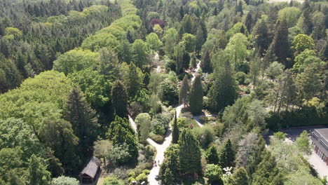 jib up of people walking through beautiful, large park