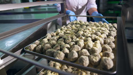 delicious sweet desserts placed on the big tray. worker puts the trays with candies into a shelf. close up. blurred backdrop.