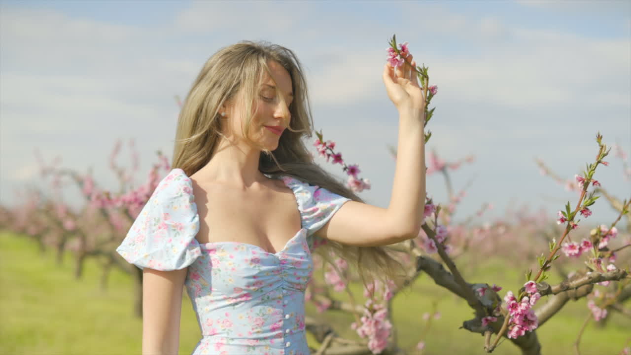 Brunette woman in a blue dress in a field of blooming trees