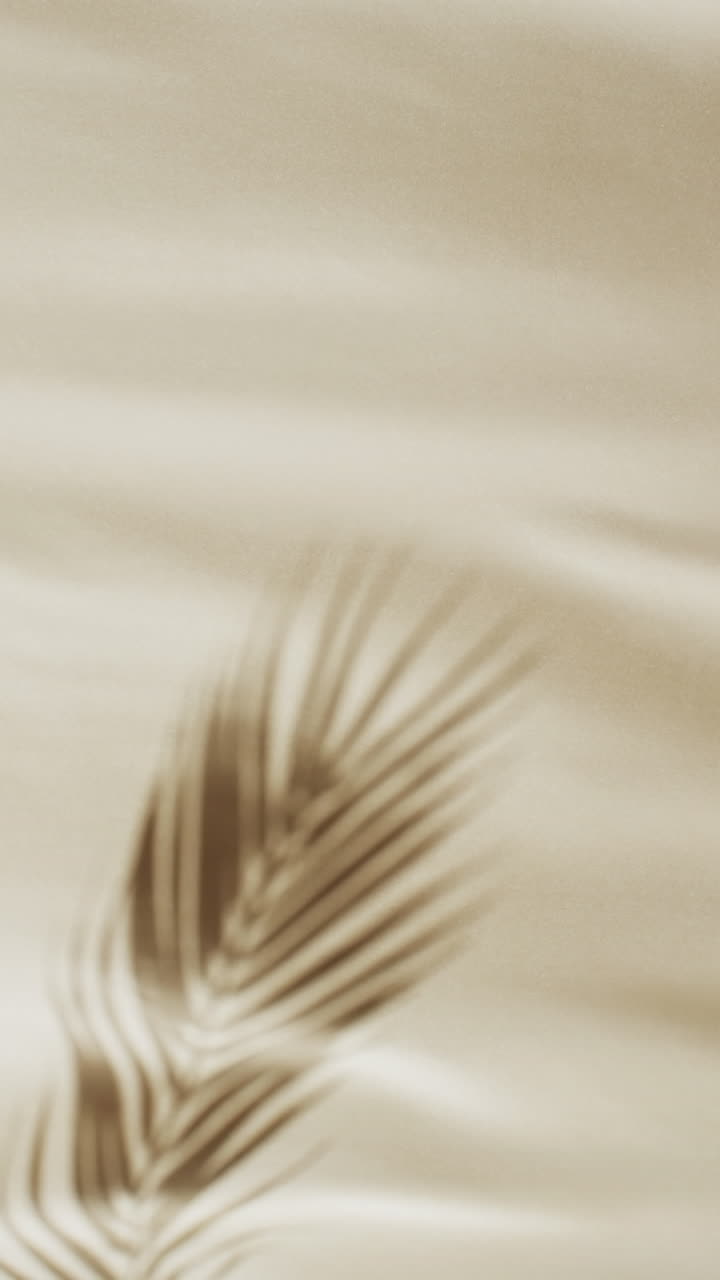 Vertical video of shadow of palm tree leaf moving with copy space over cream background