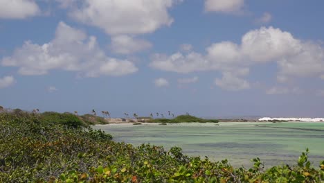 the pink and green salt pans and lakes of bonaire