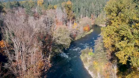 Drohne-über-Fluss-Im-Herbst-Mit-Mann-Fliegenfischen-Geschossen