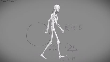 Animation-of-mathematical-equations-over-skeleton