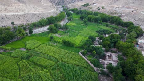 a lush valley in hesarak district