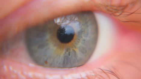 primer plano de un ojo caucásico naranja moteado de azul con pestañas naturales y pupilas pequeñas