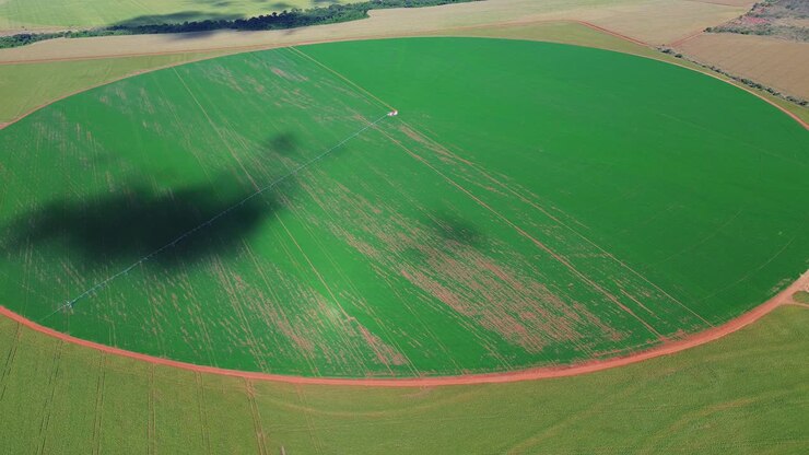 Ripresa con drone di un sistema di irrigazione a pivot centrale verde che irriga un grande campo coltivato agricolo
