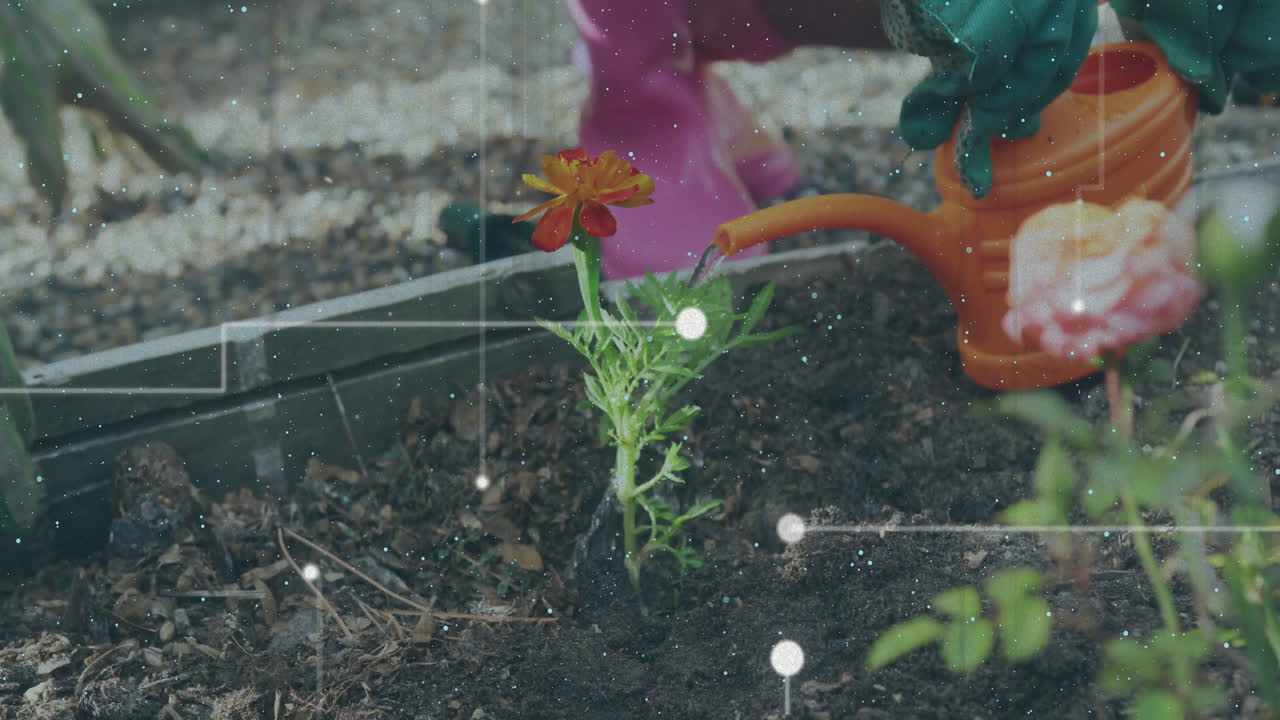 riego de flores, jardinería de personas con animación de procesamiento de datos sobre el suelo
