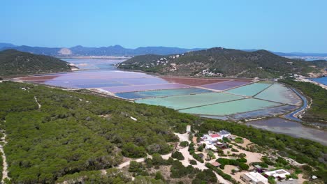 colorful salt flats of ibiza with the mediterranean vegetation in the foreground. lovely aerial view flight static tripod hovering drone