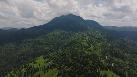 aerial wide view showing tall mountains peaks covered in dense coniferous green forests, overcast