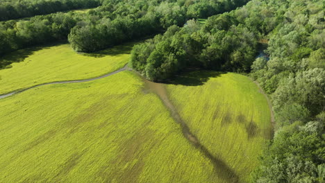 estrechos estuarios del río wolf en la impresionante región rural de tennessee