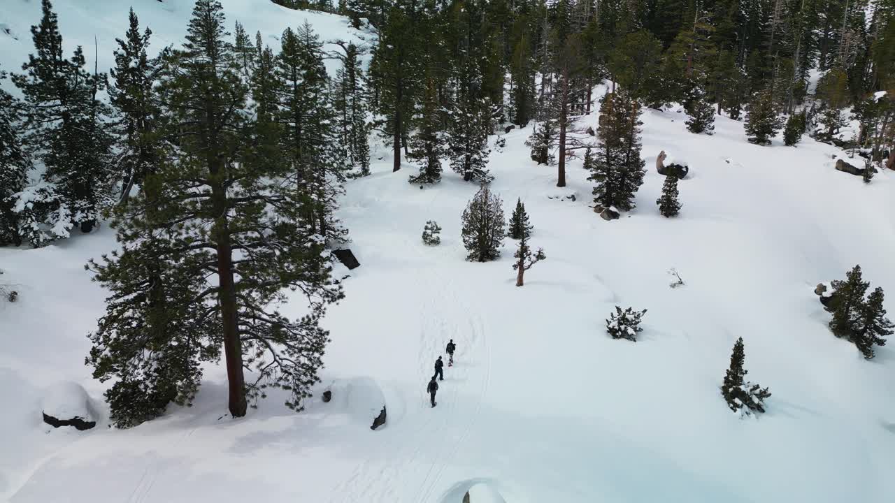 vista aérea de excursionistas caminando por el sendero de senderismo desolado en invierno