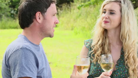 Cute-young-couple-drinking-white-wine-together