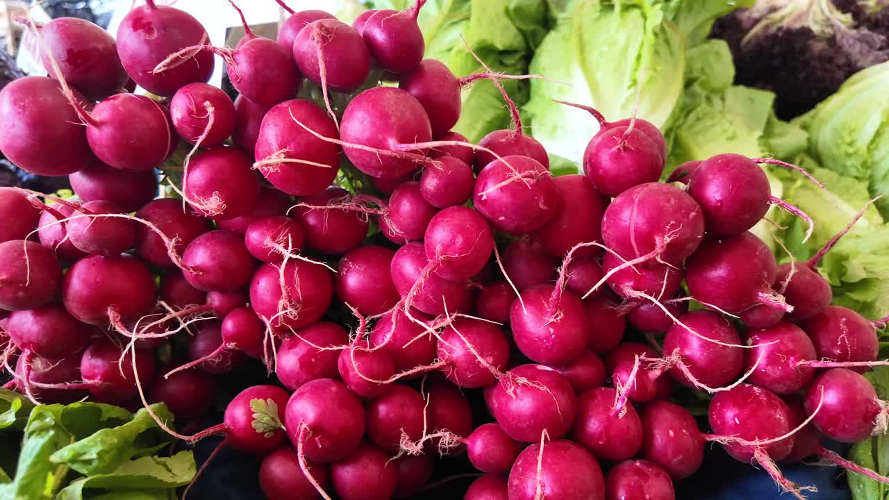 Fresh Radishes