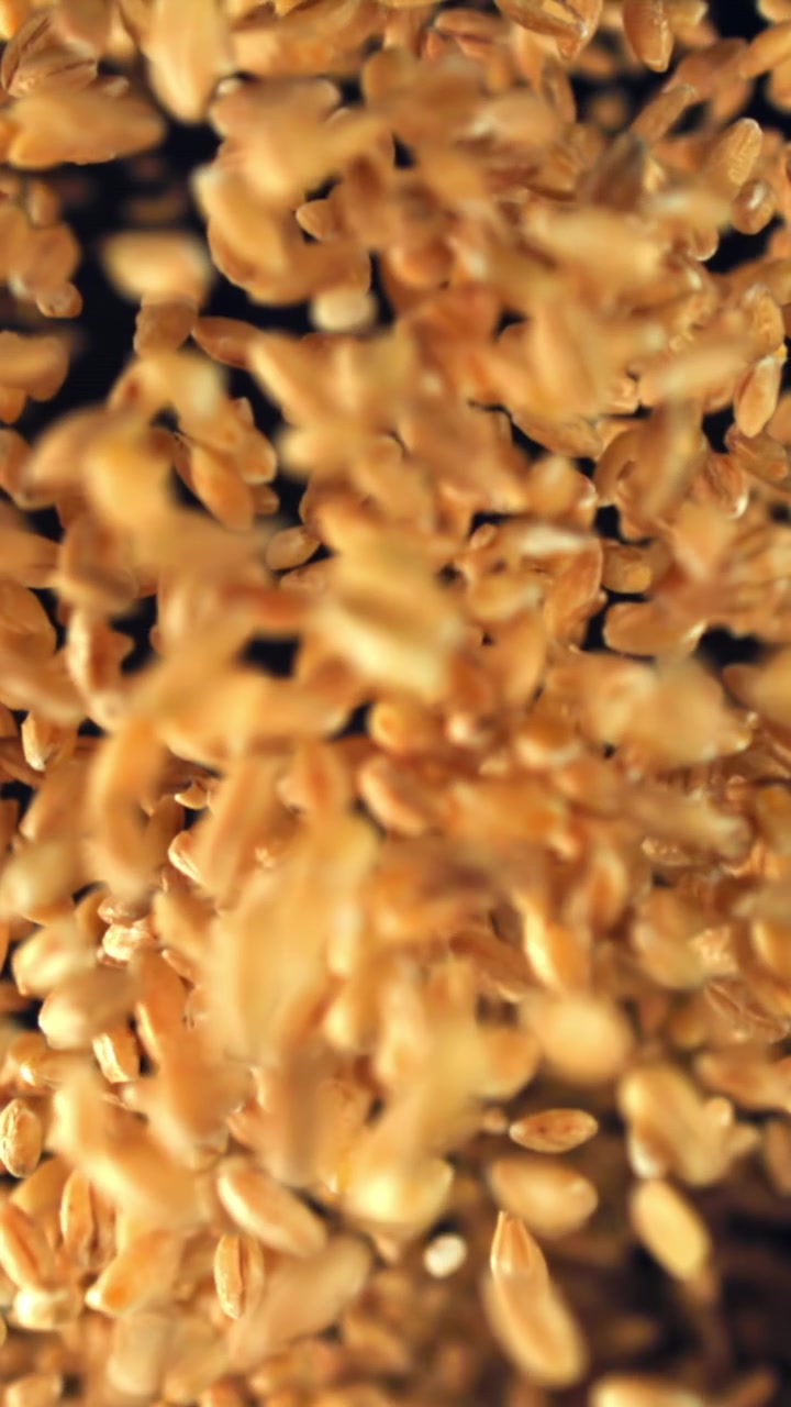 Chicchi di grano dorati che cadono al rallentatore su sfondo nero