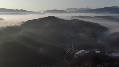 a-foggy-autumn-highway-scene