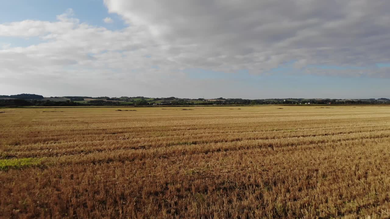 Aerial view of golden fields with brown mold close to Sejerøbugten in Odsherred