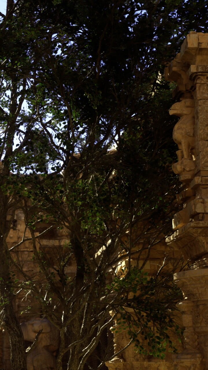 Tree and ancient structure at sunset in historical site
