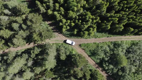 Camión-Blanco-Estacionado-En-Una-Intersección-De-Caminos-De-Tierra-En-Medio-De-Un-Bosque-Verde,-Aéreo