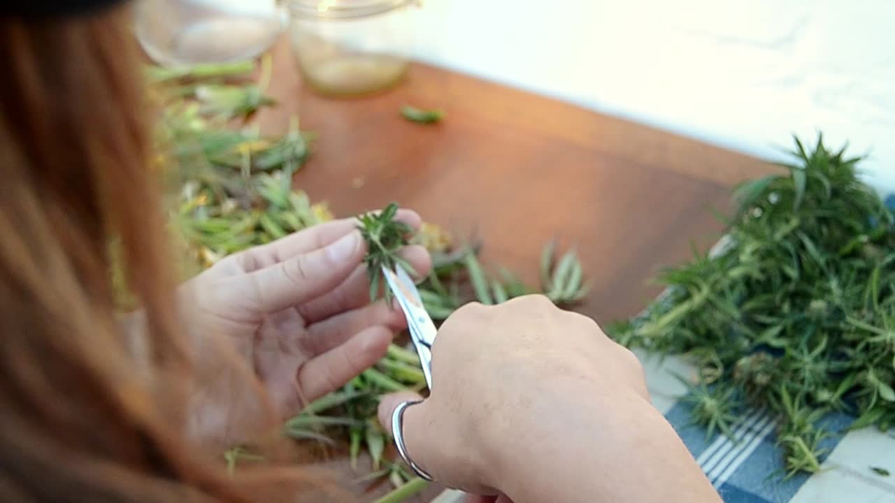 chica recortando un cogollo de marihuana, mientras escucha música.