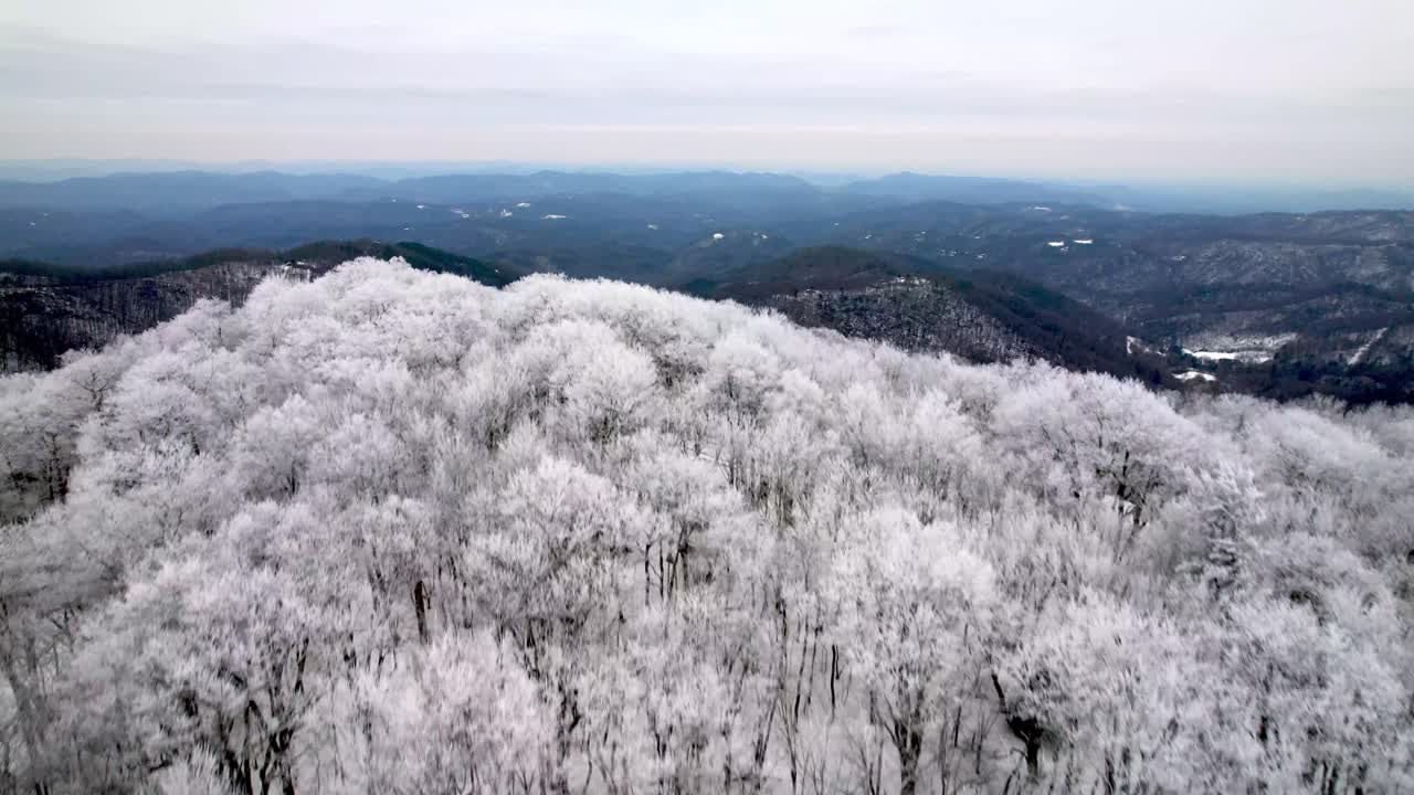 북캐롤라이나 주 브로잉 록 (blowing rock) 과 부인 (boone) 근처의 블루 리지 산맥을 드러내기 위해 나무에 얼음과 단단한 림 (rime) 을 통해 공중으로 밀어 올립니다.