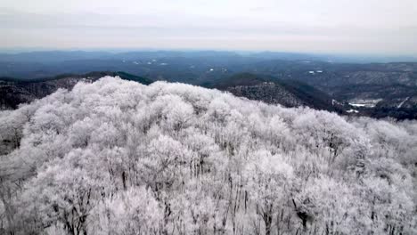 북캐롤라이나 주 브로잉 록 (blowing rock) 과 부인 (boone) 근처의 블루 리지 산맥을 드러내기 위해 나무에 얼음과 단단한 림 (rime) 을 통해 공중으로 밀어 올립니다.