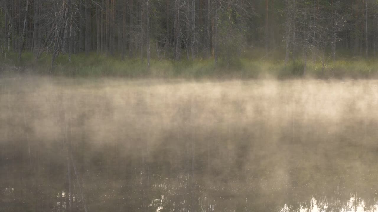 niebla matutina moviéndose lentamente sobre el lago en el desierto de finlandia