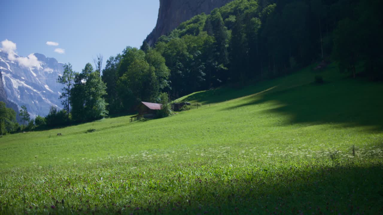 staubbach의 무성한 녹색 초원은 4k의 lauterbrunnen에 있는 계곡 안에 떨어집니다.