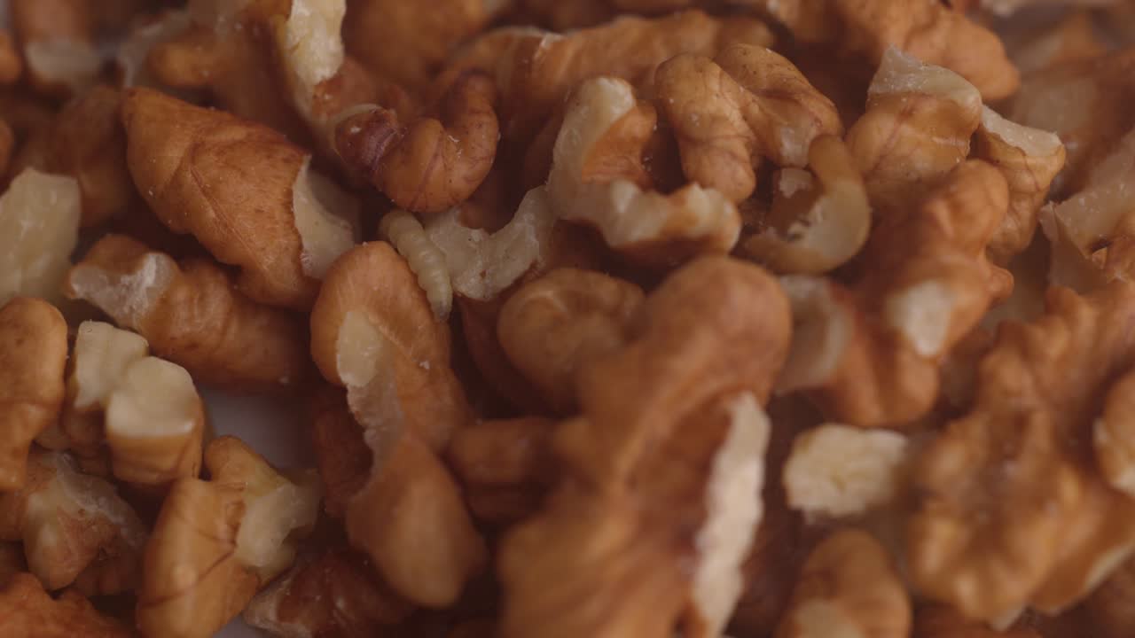 Moth Larvae Crawling On Walnuts - Close Up