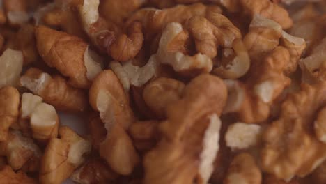 moth larvae crawling on walnuts - close up