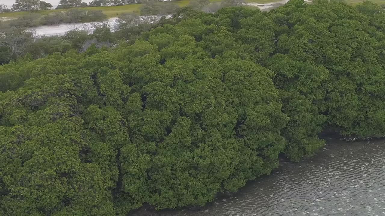 Moving right aerial view of a mangrove cay rabusky turquoise waters in the Caribbean sea Los-roques National Park Venezuela