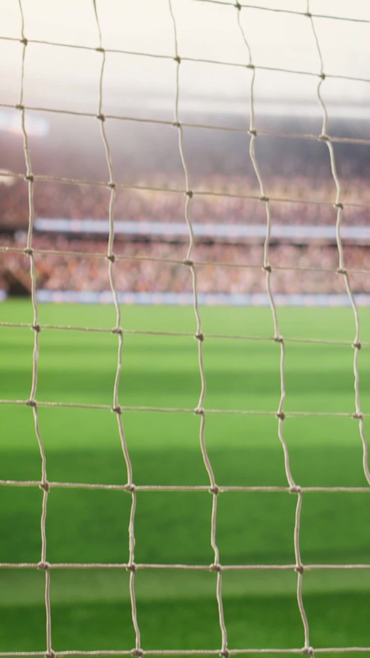 Vertical Video Angled soccer goal net and side post framing empty green pitch