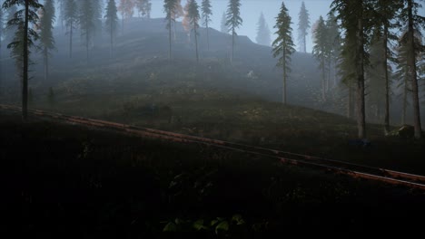 national forest recreation area and the fog with railway