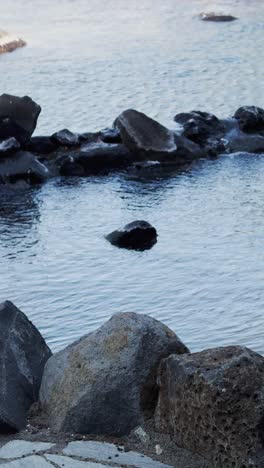serene garden water feature with ripples