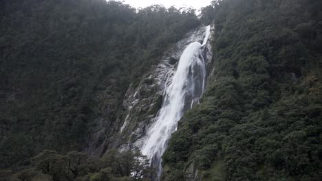 waterfall amidst lush forest