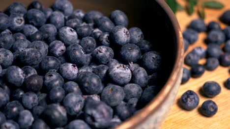 freshly picked blueberries