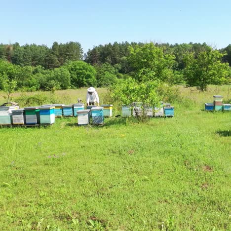Man working in apiary
