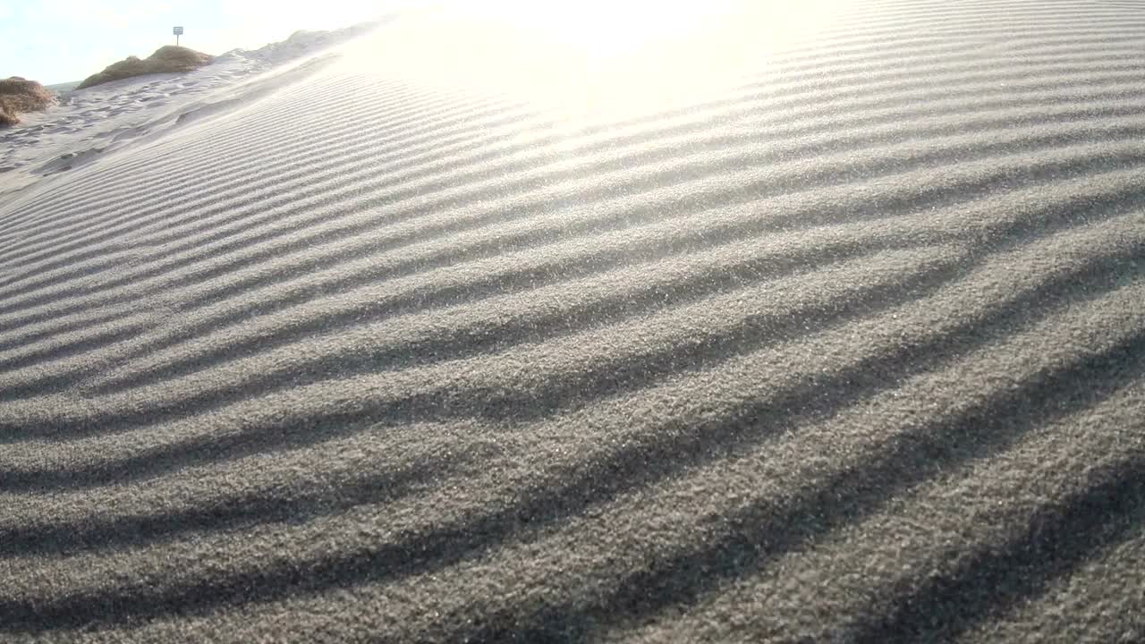 Sand dunes with dune grass in the storm of the North Sea, hiking dunes, dike protection, Sondervig, Jutland, Denmark, 4k