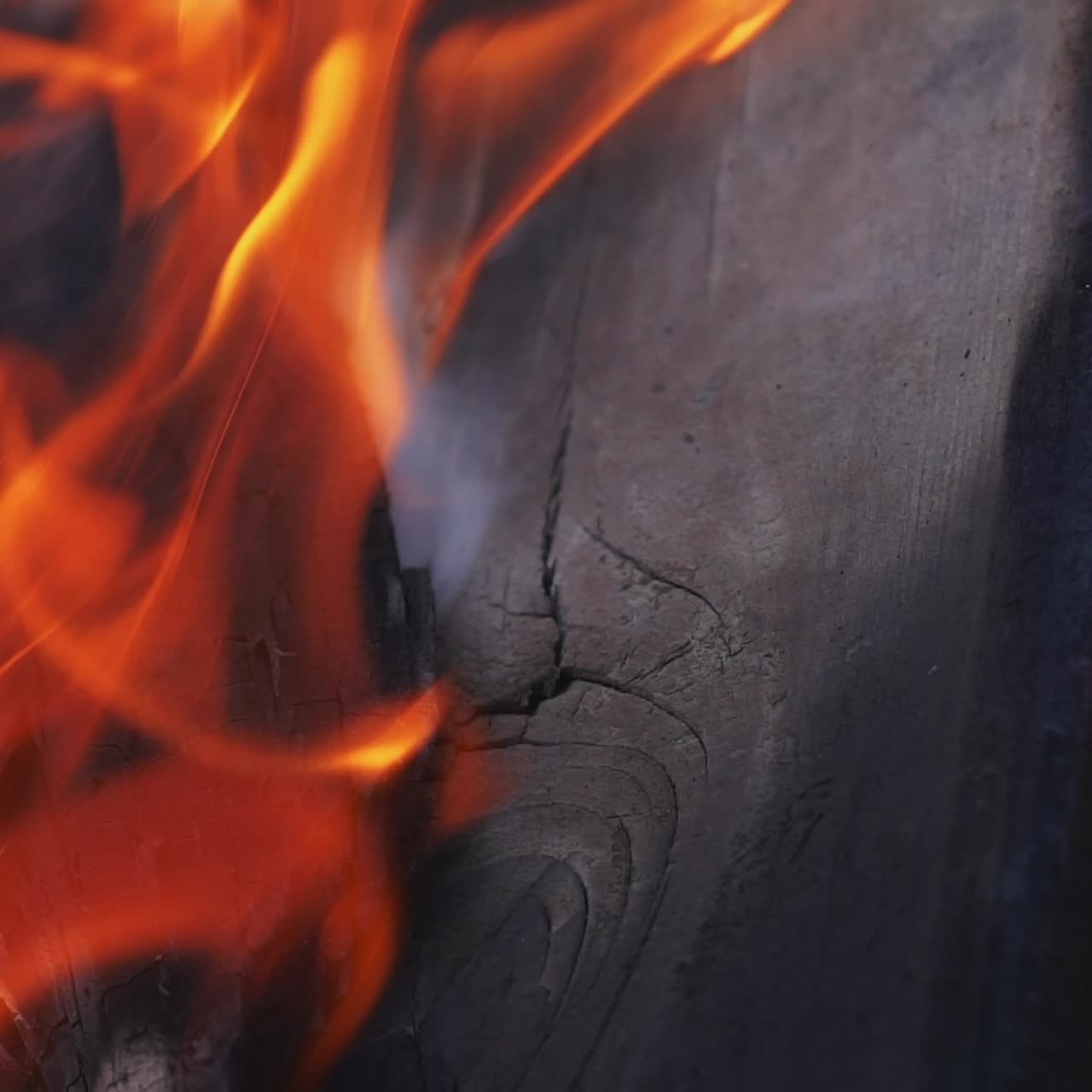 Closeup of flames burning on black background, slow motion. Flames of the fire. Camp fire.