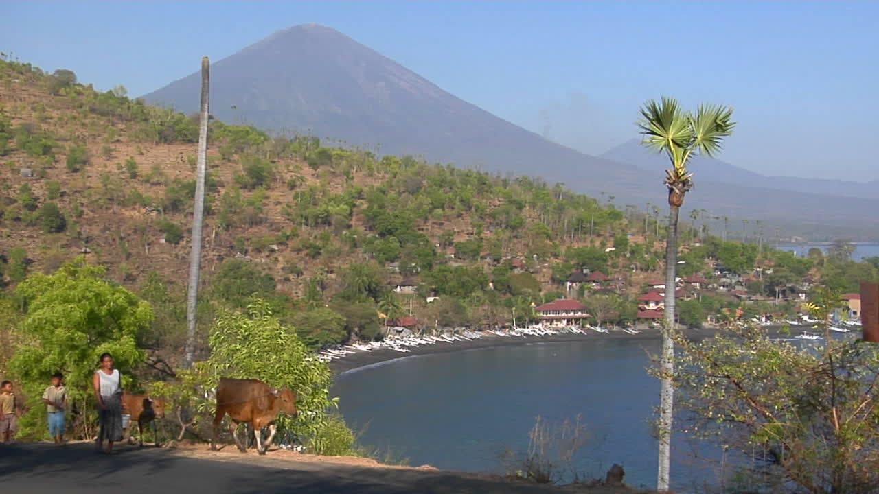 una familia nativa lleva su ganado a lo largo de una carretera de montaña en bali, indonesia