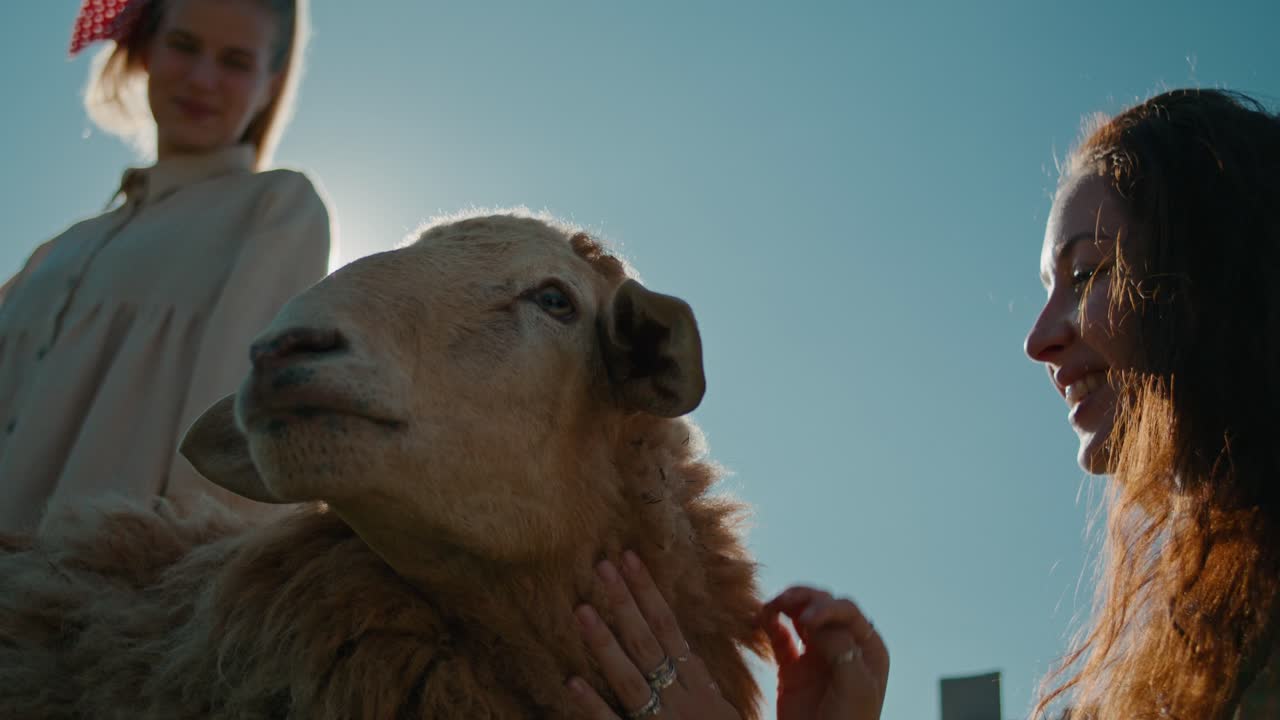 Woman petting a sheep